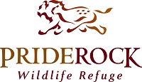 datacard/list/702/322702/Priderock SMALL.jpg listGraphic